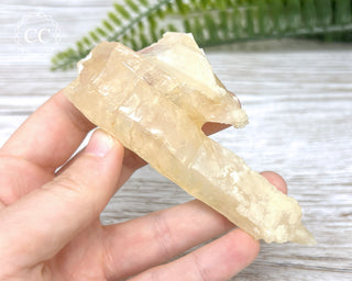 Calcite Stalactite #3