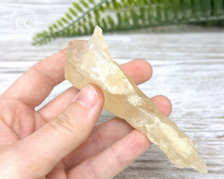 Calcite Stalactite #3