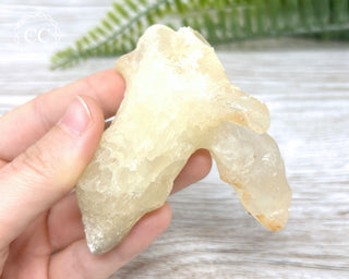 Calcite Stalactite #5