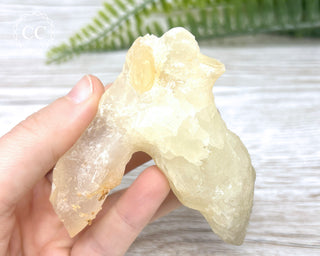 Calcite Stalactite #5