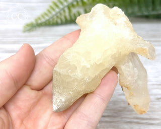 Calcite Stalactite #5