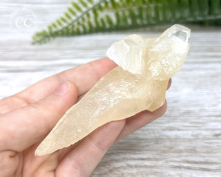 Calcite Stalactite #11