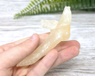 Calcite Stalactite #11