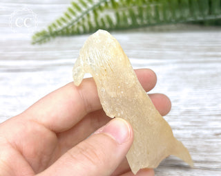 Calcite Stalactite #12