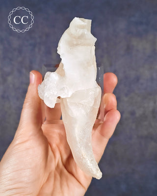 Calcite Stalactite #1