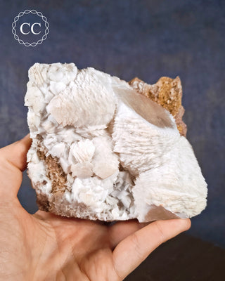 A hand holding a Calcite specimen from the Taffs Well Quarry, Cardiff, Wales