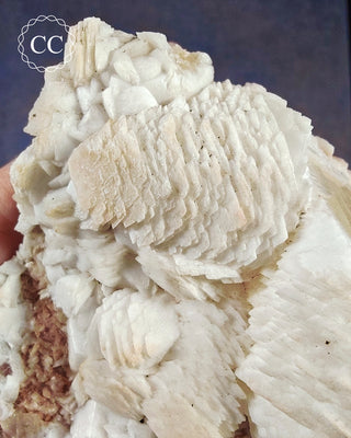 Calcite Specimen - Taffs Well Quarry #1