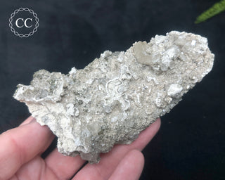 Calcite with Marcasite - Linwood Mine #6