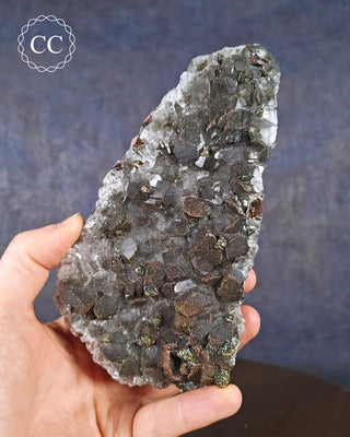 A and holding a specimen from Daye, Hubei, that showcases flattened 'petal' Calcite with both Pyrite and Chalcopyrite present