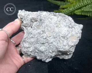 Marcasite and Calcite Specimen - Linwood Mine #3
