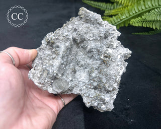 Marcasite and Calcite Specimen - Linwood Mine #3
