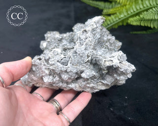 Marcasite and Calcite Specimen - Linwood Mine #3