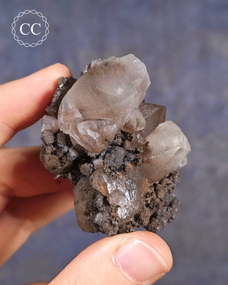 A hand holding a Calcite cluster with Chalcophanite from the Herculano Mine, Murcia, Spain