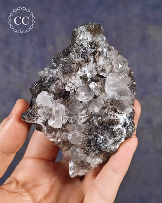 A hand holding a Calcite cluster with Chalcophanite from the Herculano Mine, Murcia, Spain