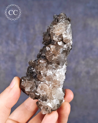 A hand holding a Calcite cluster with Chalcophanite from the Herculano Mine, Murcia, Spain