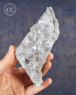 A hand holding a Calcite specimen with Marcasite inclusions  from the Linwood Mine, Buffalo, Iowa