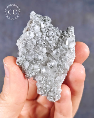 A hand holding a Calcite specimen with Marcasite inclusions  from the Linwood Mine, Buffalo, Iowa