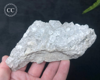 Calcite with Marcasite - Linwood Mine #2