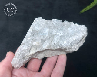 Calcite with Marcasite - Linwood Mine #2