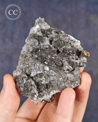 A hand holding a Calcite specimen with Marcasite inclusions  from the Linwood Mine, Buffalo, Iowa