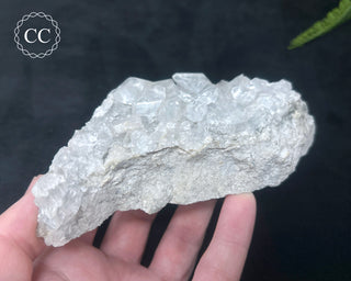 Calcite with Marcasite - Linwood Mine #2