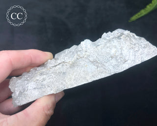 Calcite with Marcasite - Linwood Mine #2