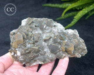 Calcite with Pyrite - Daye Mine, Hubei #2