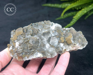 Calcite with Pyrite - Daye Mine, Hubei #2