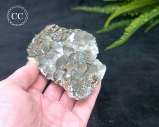 Calcite with Pyrite - Daye Mine, Hubei #2