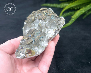 Calcite with Pyrite - Daye Mine, Hubei #2