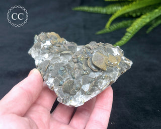 Calcite with Pyrite - Daye Mine, Hubei #2
