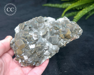 Calcite with Pyrite - Daye Mine, Hubei #2