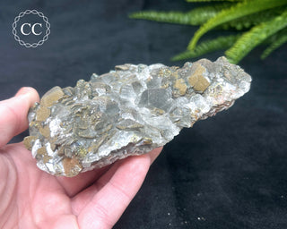 Calcite with Pyrite - Daye Mine, Hubei #2