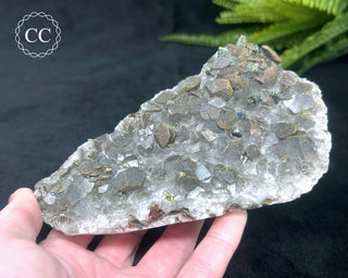 Calcite with Pyrite - Daye Mine, Hubei #1