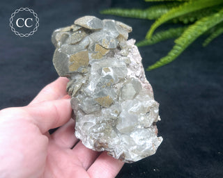 Calcite with Pyrite - Daye Mine, Hubei #3