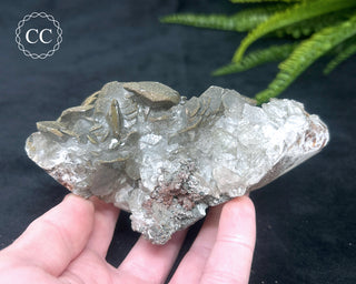 Calcite with Pyrite - Daye Mine, Hubei #3