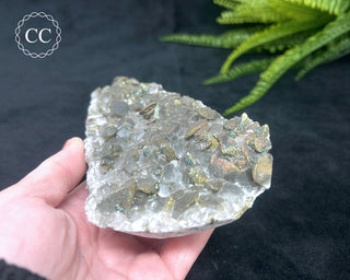 Calcite with Pyrite - Daye Mine, Hubei #1