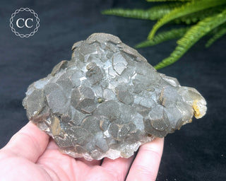 Calcite with Pyrite - Daye Mine, Hubei #4