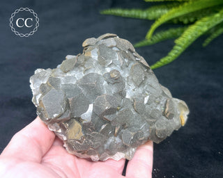 Calcite with Pyrite - Daye Mine, Hubei #4
