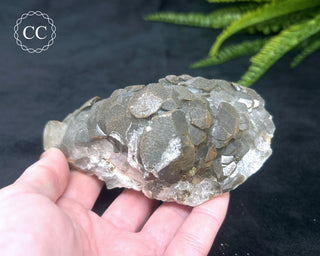 Calcite with Pyrite - Daye Mine, Hubei #4