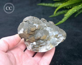 Calcite with Pyrite - Daye Mine, Hubei #4