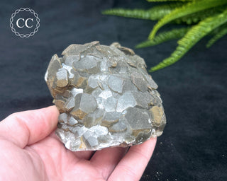 Calcite with Pyrite - Daye Mine, Hubei #4