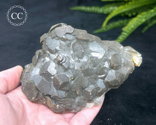 Calcite with Pyrite - Daye Mine, Hubei #4