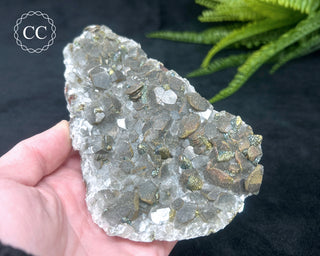 Calcite with Pyrite - Daye Mine, Hubei #1