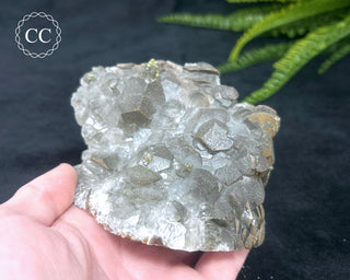 Calcite with Pyrite - Daye Mine, Hubei #5