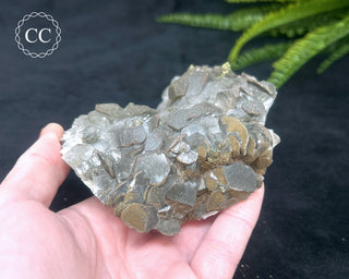 Calcite with Pyrite - Daye Mine, Hubei #5