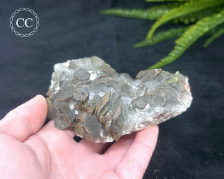 Calcite with Pyrite - Daye Mine, Hubei #5