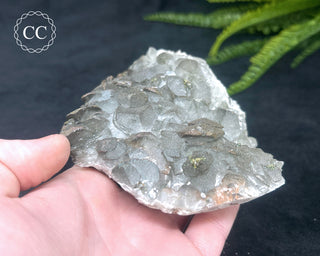 Calcite with Pyrite - Daye Mine, Hubei #5