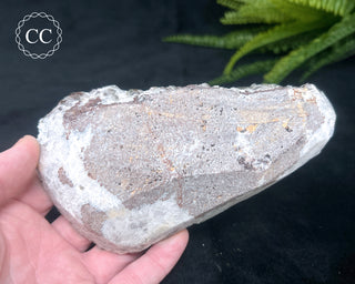 Calcite with Pyrite - Daye Mine, Hubei #1