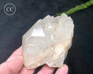California Fissure Quartz #1